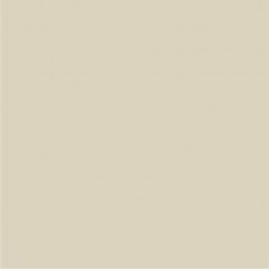 Плитка облицовочная 20х20 Monocolor beige dark wall 01 RAL0809010 мат. (1уп=1м2/25шт)