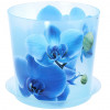 Превью к основной картинке товара «Кашпо 1,2л Голубая орхидея 12,5х12,5 с поддон. голуб. М3105»