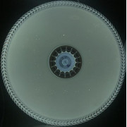 Светильник светодиодный 8757,01 JM-SDCL 20W/40W D 350mm 2,7K 4K 6,5K