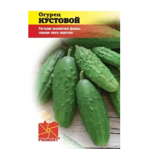 Семена Огурец Кустовой Prorost 0,5 гр