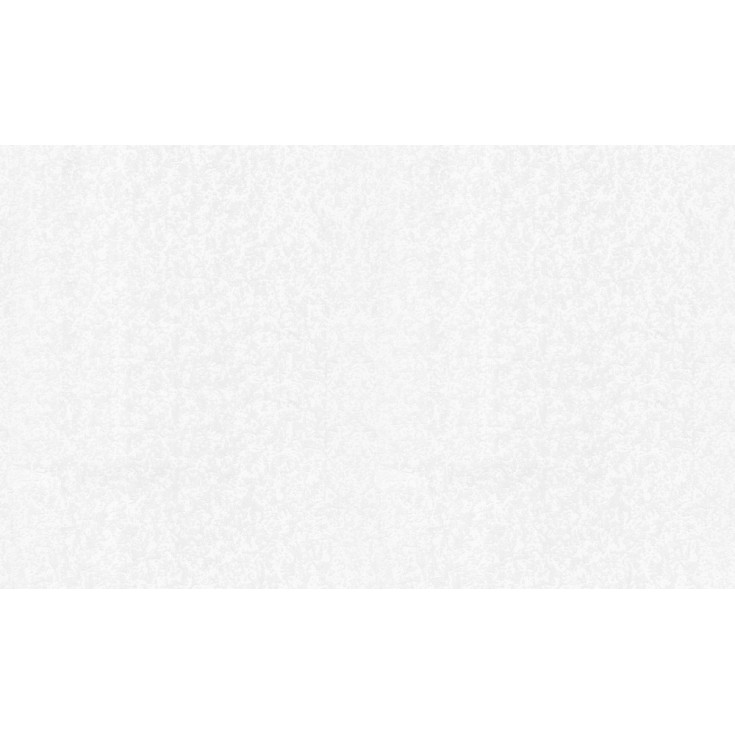 Картинка #2 к товару «Обои 1,06х10,05м винилов. на флизел. основе HomeColor 10 ВВ ГТ»