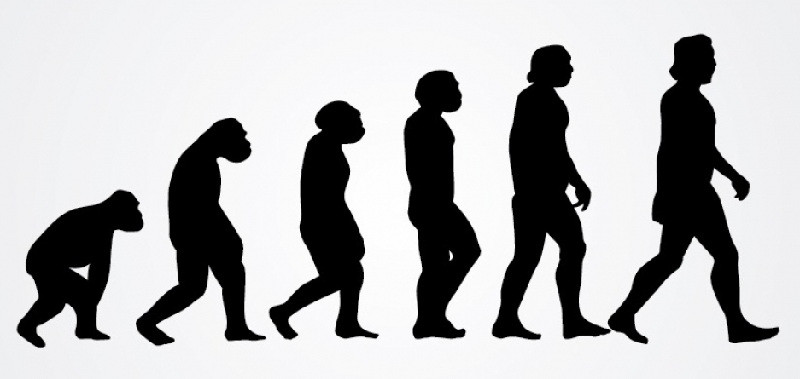 Картинка к новости «Клей по-неандертальски: о том, как первые люди делали клей»
