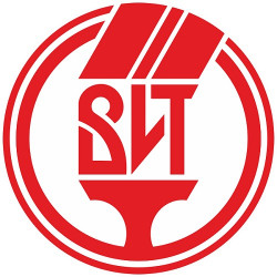 Логотип «ВИТ»