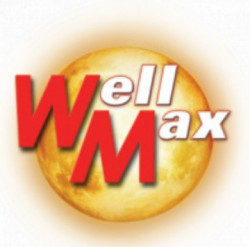 Логотип «WELL MAX»